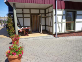 Apartamentai Purvynes 51